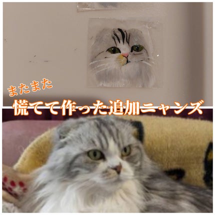 痛ライナー/ネイル工房/ジェルネイルを使ったクチコミ(1枚目)