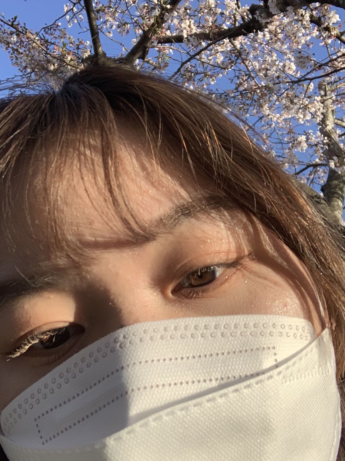 ミニネイル/パラドゥ/マニキュアを使ったクチコミ（2枚目）