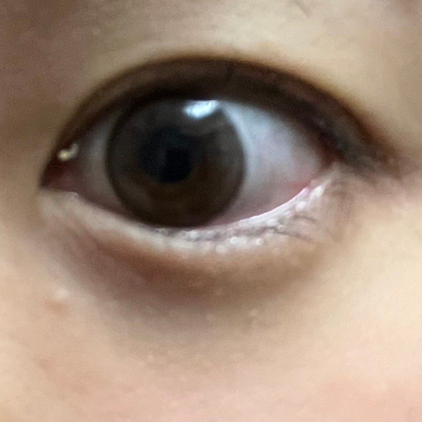 PUUUUCHU/PUUUUCHU/ワンデー(1DAY)カラコンを使ったクチコミ(4枚目)