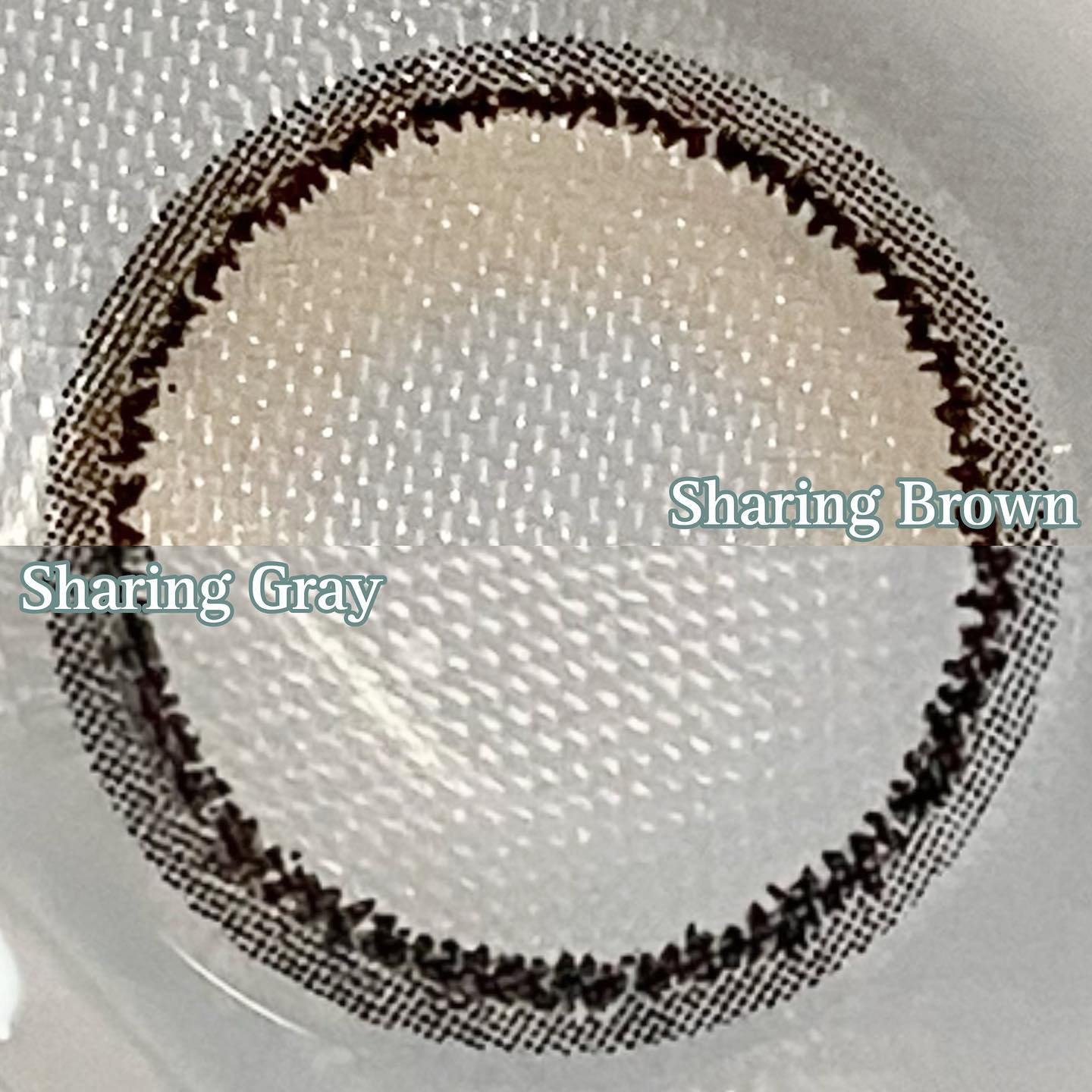 Sharing Brown /LensRang/１ヶ月（１MONTH）カラコンを使ったクチコミ（3枚目）