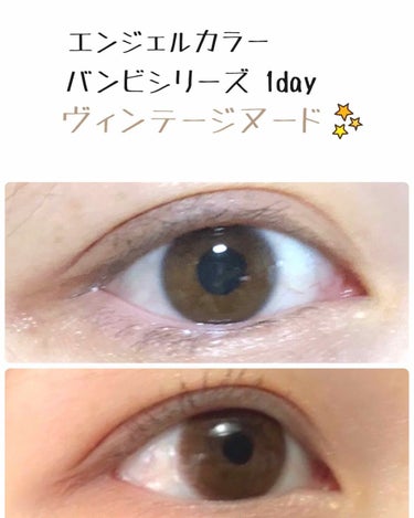 Angelcolor Bambi Series Vintage 1day/AngelColor/ワンデー（１DAY）カラコンを使ったクチコミ（1枚目）