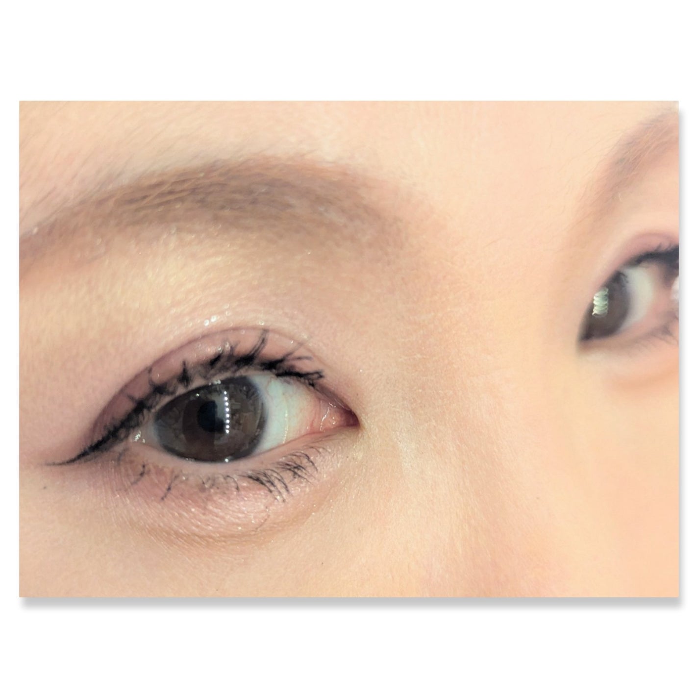 ミャオパウズアイシャドウパレット/MilleFée/アイシャドウパレットを使ったクチコミ(2枚目)