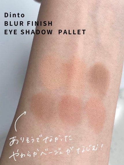 ブラーフィニシュシャドウパレット/Dinto/アイシャドウパレットを使ったクチコミ(2枚目)