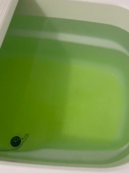 ぷぅぴぃ《紫コス部💜💗》 on LIPS 「🌵🌲🌳🌴🌱🌿☘️🍀🍃🌵🌲🌳🌴🌱🌿☘️🍀🍃薬用入浴剤湯宿めぐり草..」(5枚目)