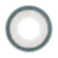 魚