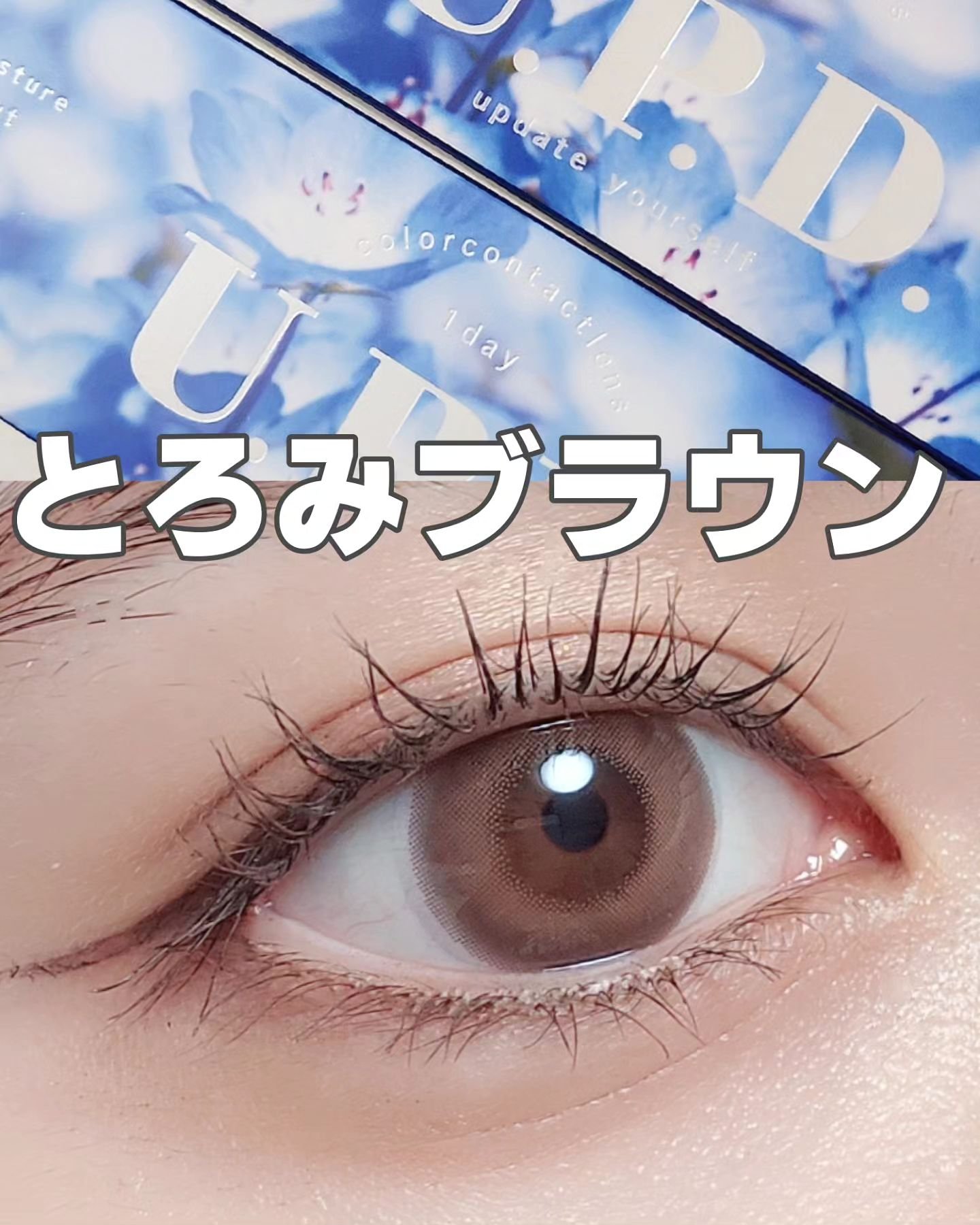 U.P.D. 1day/U.P.D./ワンデー（１DAY）カラコンを使ったクチコミ（1枚目）