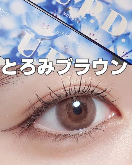 U.P.D. 1day/U.P.D./ワンデー(1DAY)カラコンを使ったクチコミ(1枚目)