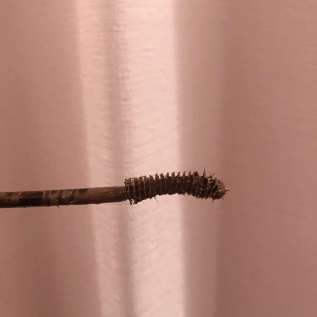 「塗るつけまつげ」ロングタイプ/デジャヴュ/マスカラを使ったクチコミ(2枚目)