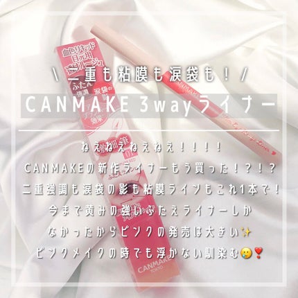 3wayスリムアイルージュライナー/キャンメイク/リキッドアイライナーを使ったクチコミ(1枚目)