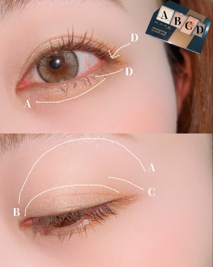 デザイニングブラウンアイズ/KATE/アイシャドウパレットを使ったクチコミ(2枚目)