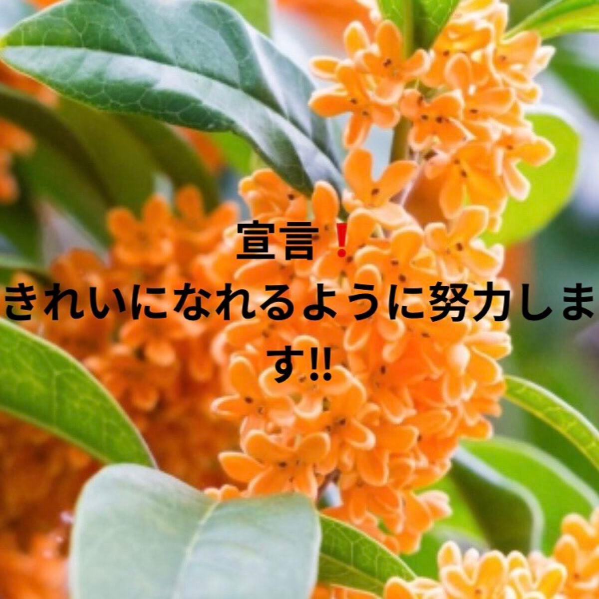 ひーちゃん on LIPS 「みなさん、こんにちは😃ひーちゃんです!いきなりですが、きれいに..」(1枚目)