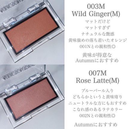 アディクション ザ ブラッシュ マット 003M Wild Ginger アディクション ザ ブラッシュ マット 003M Wild Ginger