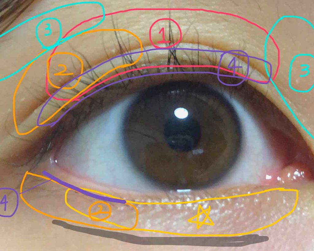 モテマスカラ リペア Br(ブラウン)/UZU BY FLOWFUSHI/マスカラ下地を使ったクチコミ（3枚目）