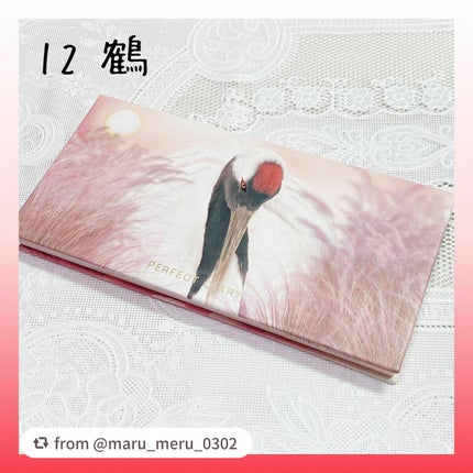 エクスプローラ12色 動物アイシャドウパレット/PERFECT DIARY/アイシャドウパレットを使ったクチコミ(4枚目)
