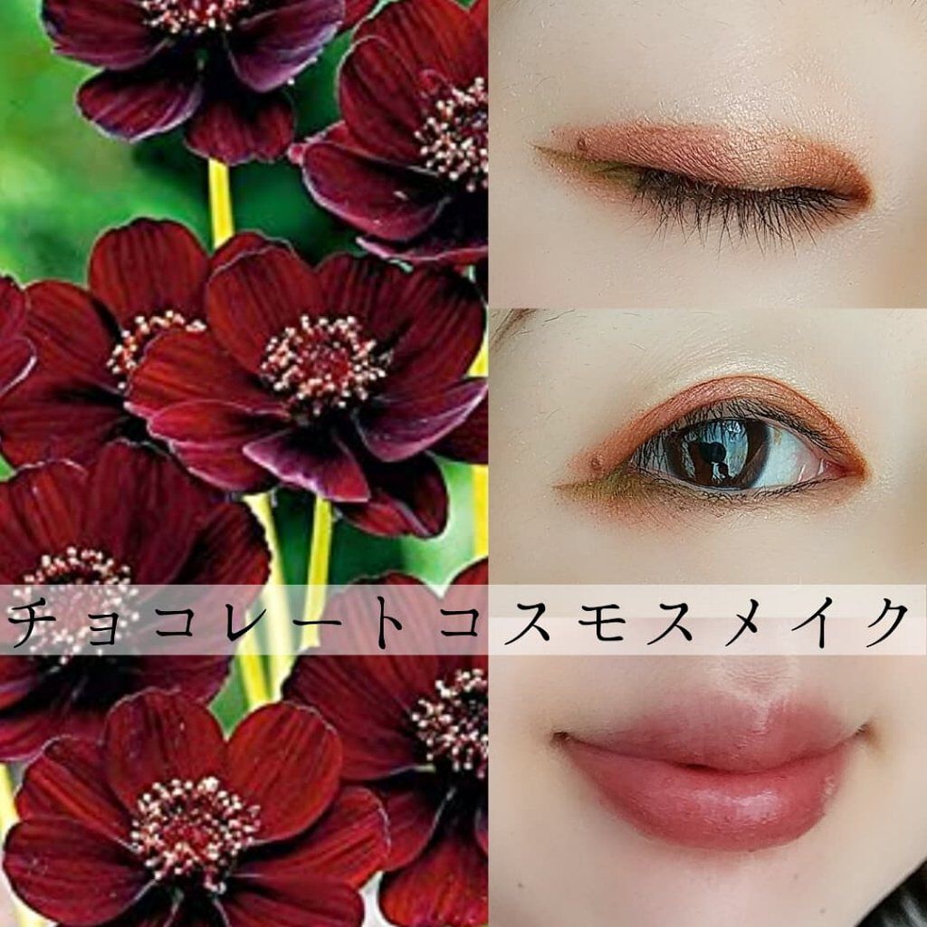 UR GLAM　BLOOMING EYE COLOR PALETTE/U R GLAM/アイシャドウパレットを使ったクチコミ（1枚目）