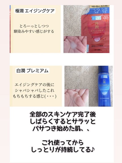 白潤プレミアム薬用浸透美白化粧水/肌ラボ/化粧水を使ったクチコミ(2枚目)
