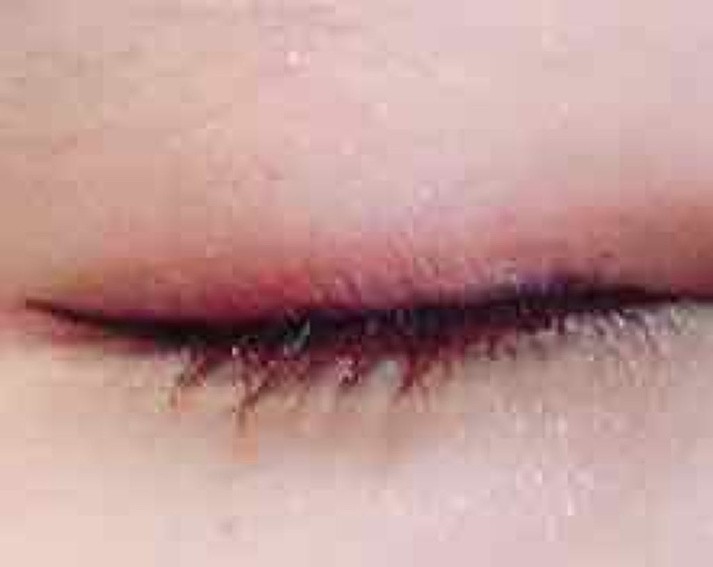 エスポルール カラーマスカラ/エスポルール/マスカラを使ったクチコミ（3枚目）