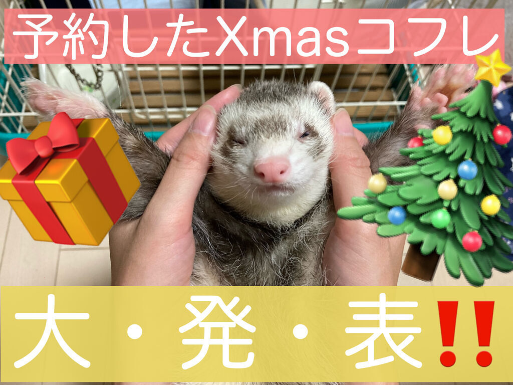 ディオール バックステージ カスタム アイ パレット/Dior/アイシャドウパレットを使ったクチコミ（1枚目）