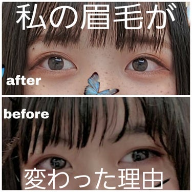 ☁️釣り眉&三角眉だった私が、平行眉に近づけた理由☁️

「眉毛とか前髪で隠れるし、別に良くね？？」

私は初めそう考えてお手入れをしていませんでした＾＾;
ですが、1、2枚目の写真を見ていただけると分