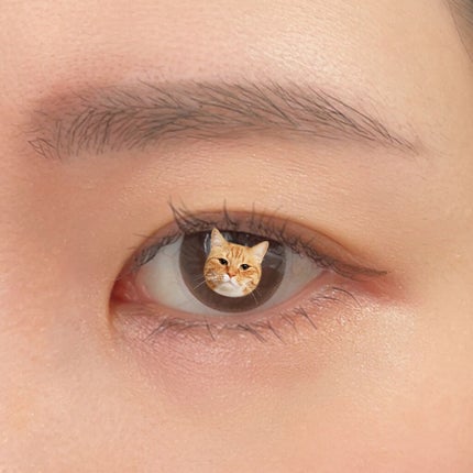 ラッシュフォーマー(クリア)/KATE/マスカラを使ったクチコミ(3枚目)