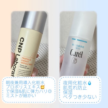 潤浸保湿 化粧水 III とてもしっとり/キュレル/化粧水を使ったクチコミ(4枚目)