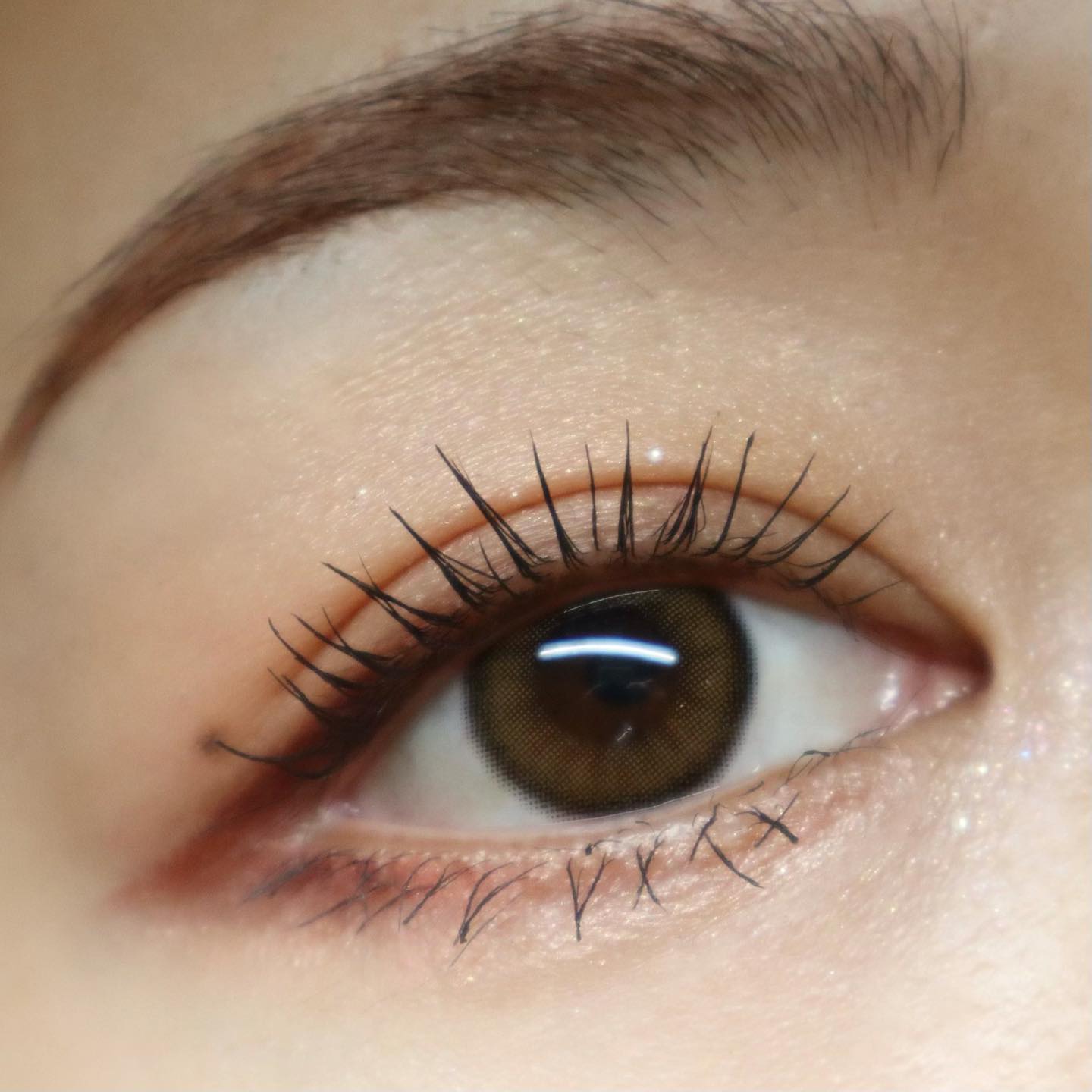 アイカラーレーション/LUNASOL/アイシャドウパレットを使ったクチコミ（3枚目）