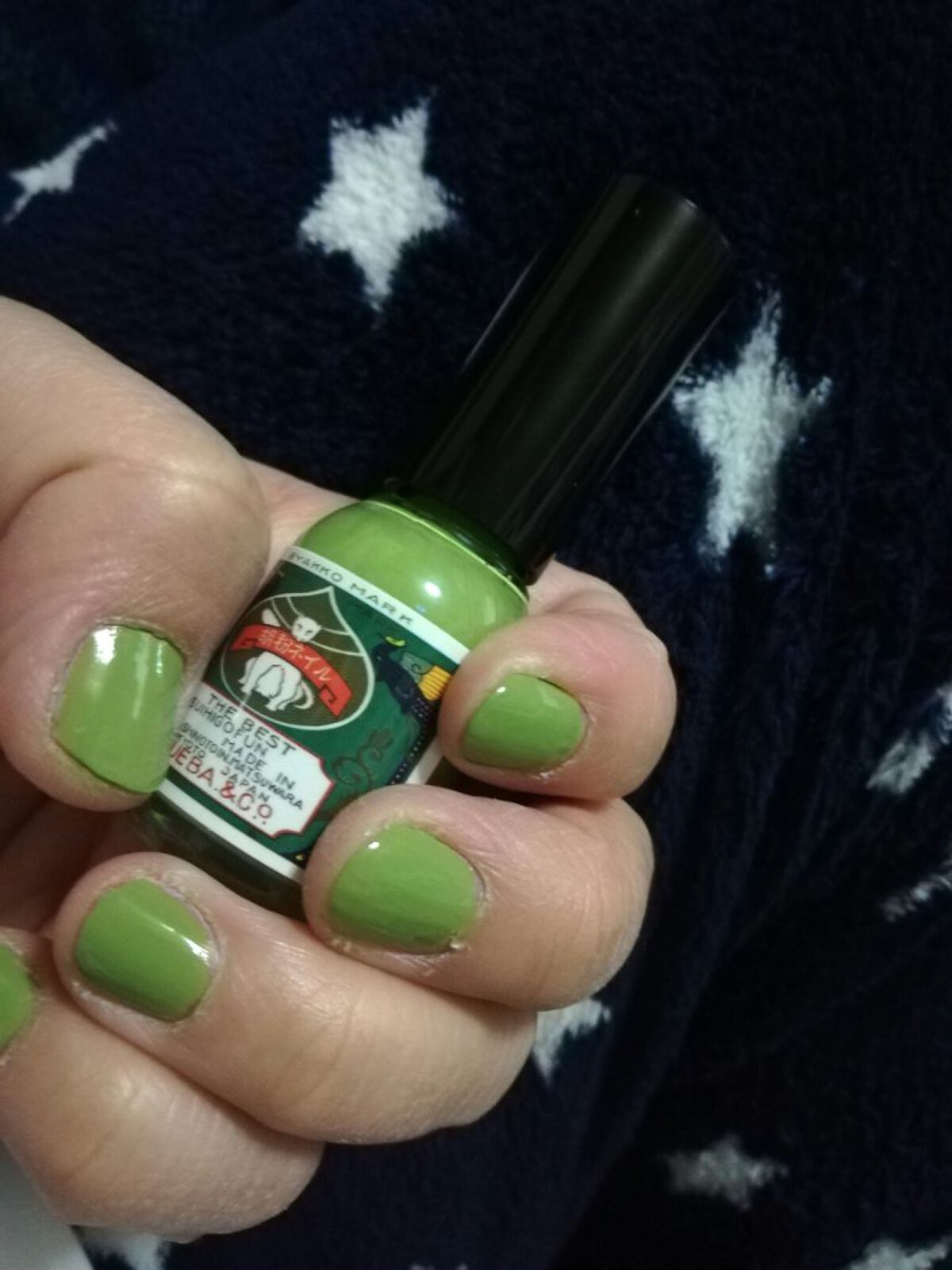 胡粉ネイル 和色シリーズ/上羽絵惣/マニキュアを使ったクチコミ(1枚目)