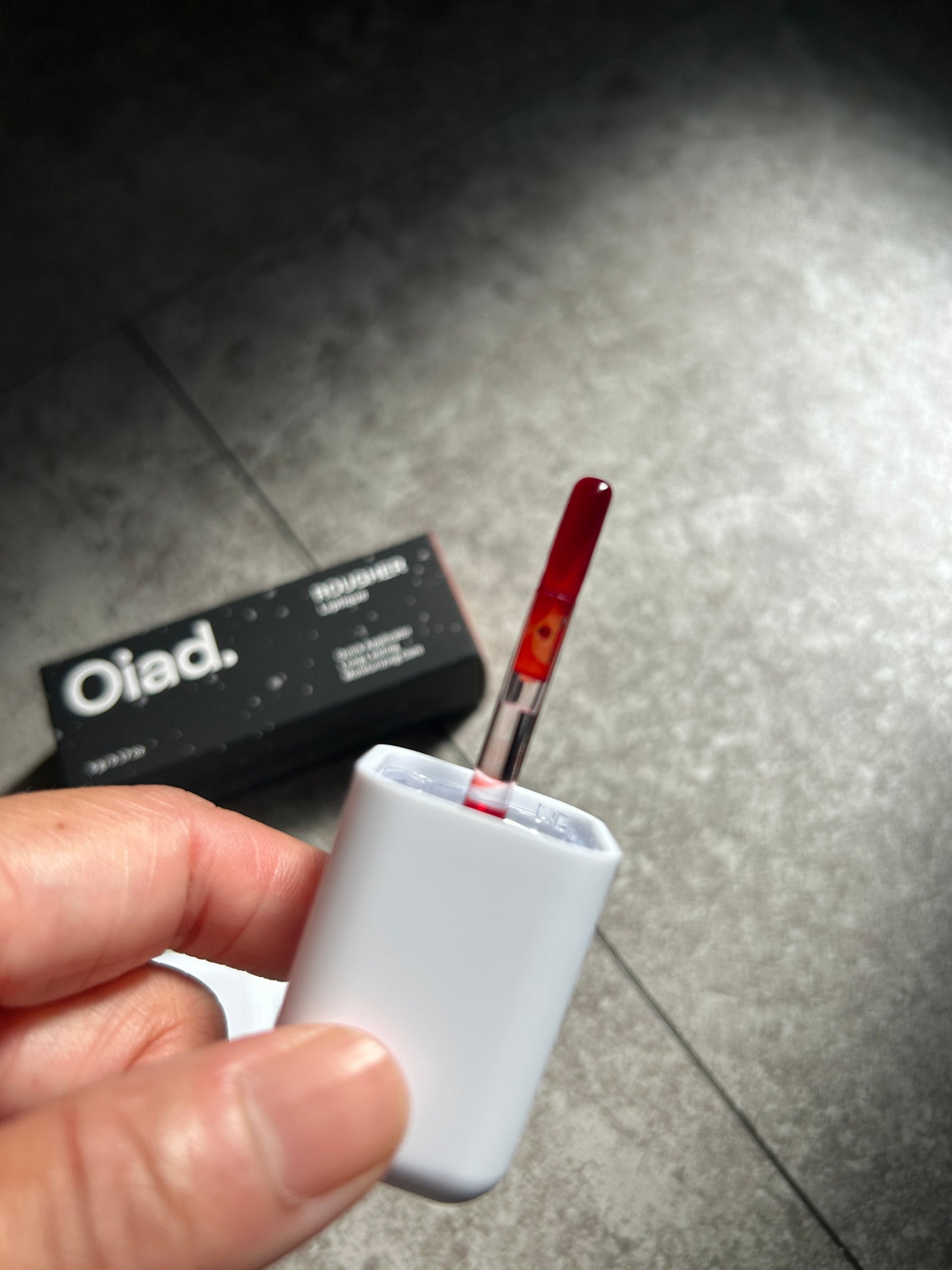 リップティーク/oiad/口紅を使ったクチコミ(4枚目)