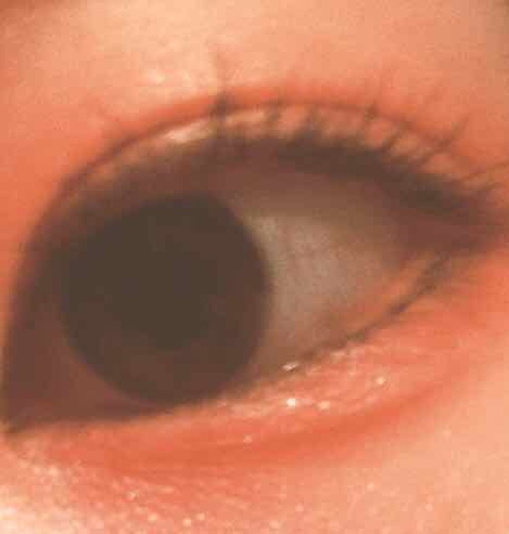 ラッシュパーム カールフィックスマスカラ/ETUDE/マスカラを使ったクチコミ(1枚目)