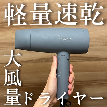 スピーディーイオンドライヤー グレー(WEB限定)/SALONIA/ドライヤーを使ったクチコミ（1枚目）