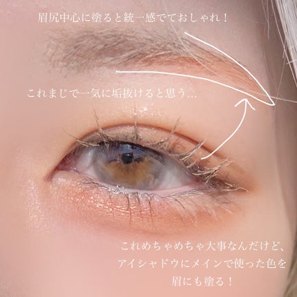 ジューシーピュアアイズ/キャンメイク/アイシャドウパレットを使ったクチコミ(3枚目)