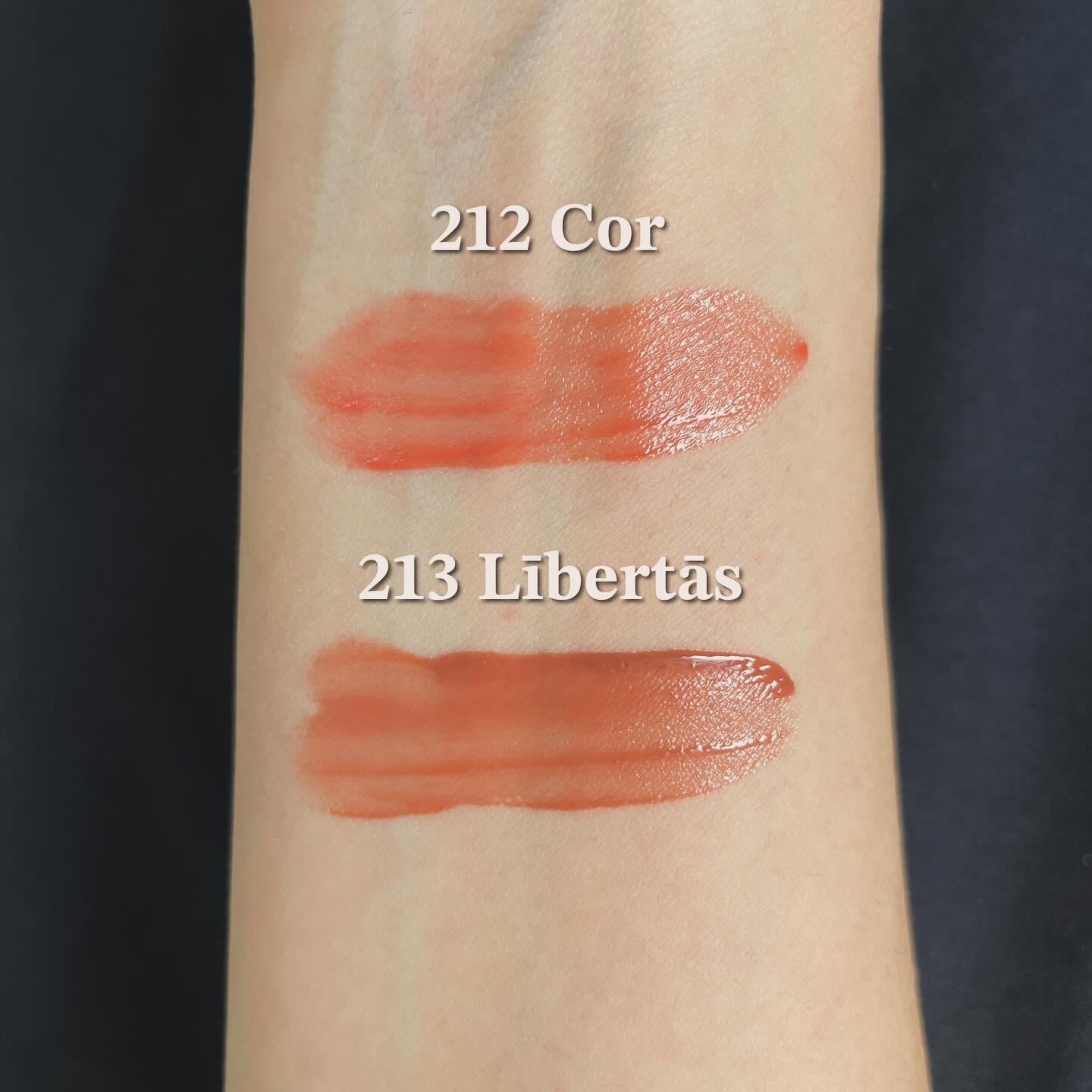 ブラーグロイリップティント 212 コア/Dinto/リップティントを使ったクチコミ（3枚目）