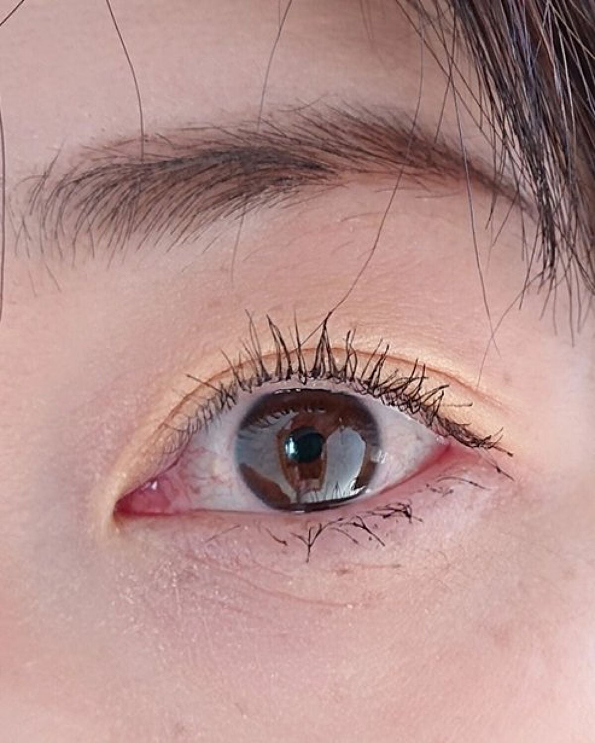 モンスーンカラーマスカラ/CathyDoll/マスカラを使ったクチコミ(2枚目)