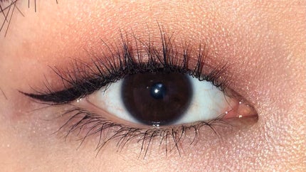 エテュセ アイエディション (マスカラベース)/ettusais/マスカラ下地を使ったクチコミ(1枚目)