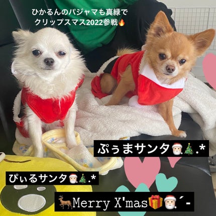 gilded gold/Milani Cosmetics/アイシャドウパレットを使ったクチコミ(6枚目)