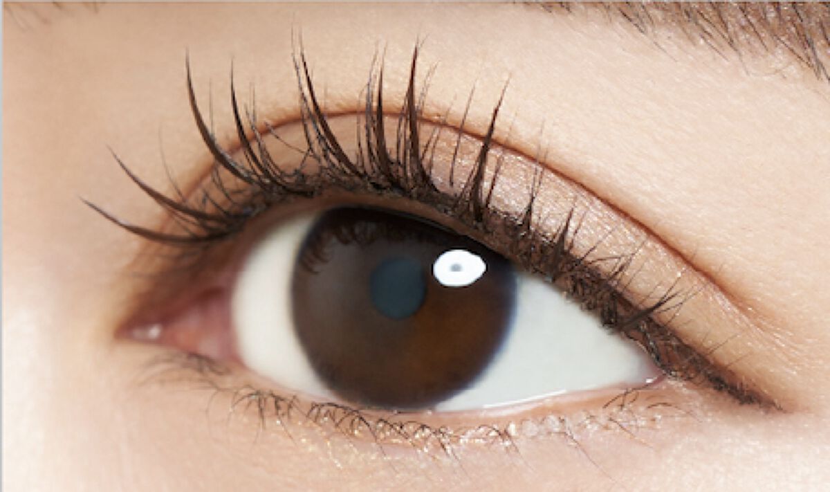 アイラッシュ セルフエクステライン NO.49 ブラウンルアーエクステ