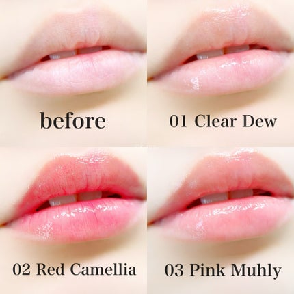 ナチュラルブルームリップオイルセラム 3色セット/PINATE/リップグロスを使ったクチコミ(5枚目)