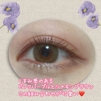 エテュセ アイエディション(カラーパレット)/ettusais/アイシャドウパレットを使ったクチコミ(4枚目)