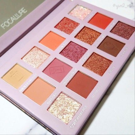 GO TRAVEL 15色アイシャドウパレット/FOCALLURE/アイシャドウパレットを使ったクチコミ(5枚目)