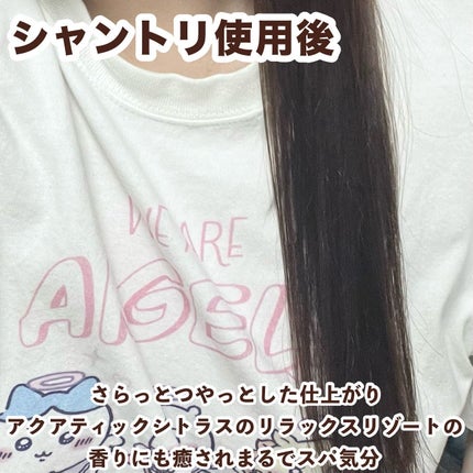 OFFLO リセット モイスチャー シャンプー/トリートメント/OFFLO/市販シャンプーを使ったクチコミ(5枚目)