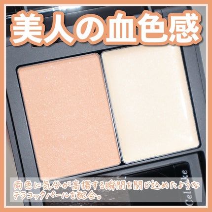 ディグニファイド リップス/Celvoke/口紅を使ったクチコミ(9枚目)