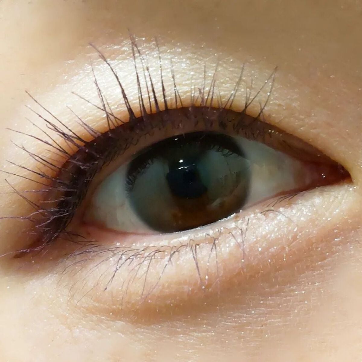 ウォンジョンヨ W デイリームードアップパレット /Wonjungyo/アイシャドウパレットを使ったクチコミ(7枚目)