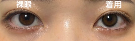 ReVIA 1day/ReVIA/ワンデー(1DAY)カラコンを使ったクチコミ(3枚目)