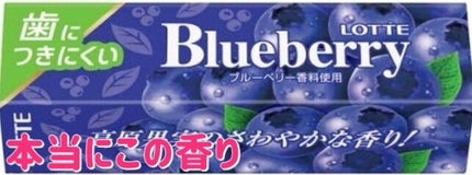 リンシングビネガー シルキーシャイン さらキララズベリー/イヴ・ロシェ/洗い流すヘアトリートメントを使ったクチコミ(2枚目)