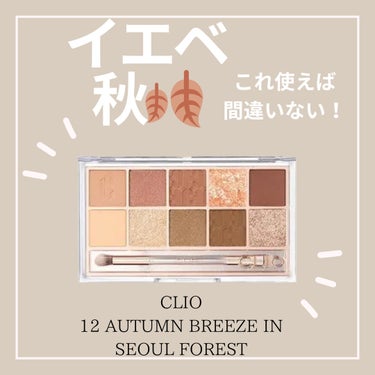 プロ アイ パレット 12 AUTUMN BREEZE IN SEOUL FOREST/CLIO/アイシャドウパレットを使ったクチコミ（1枚目）