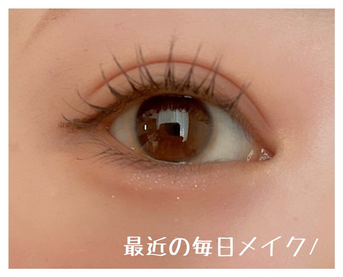 ブラーフィニシュシャドウパレット/Dinto/アイシャドウパレットを使ったクチコミ（1枚目）