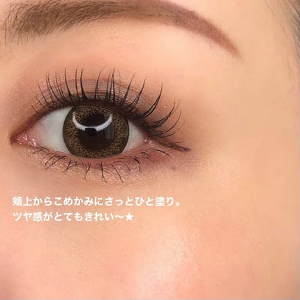 ル・レオスールデクラ 202(レフィル)/クレ・ド・ポー ボーテ/パウダーハイライトの画像