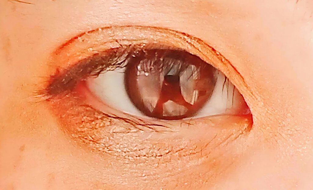 33色プロアイシャドウパレット/Dolly Angel/アイシャドウパレットを使ったクチコミ(2枚目)