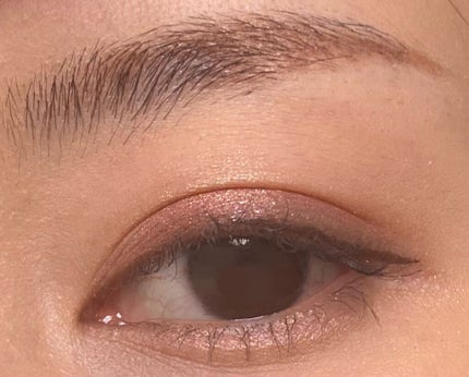 サンク クルール クチュール<バーズ オブ ア フェザー>/Dior/アイシャドウパレットを使ったクチコミ(5枚目)