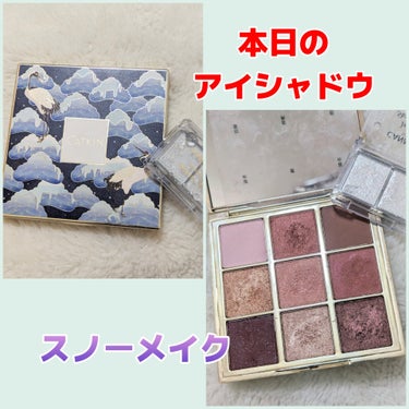 長相思シリーズ 9色アイシャドウパレット/CATKIN/アイシャドウパレットを使ったクチコミ（1枚目）